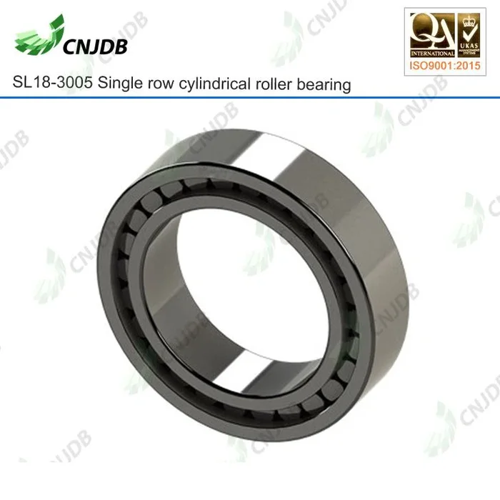 SL18 3005 Full Complement Cylindrical Roller Bearings